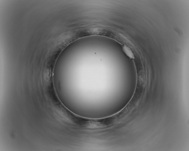 X0000113540605200909181159