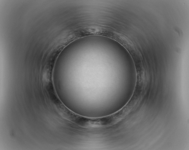 X0000113540606200909181159