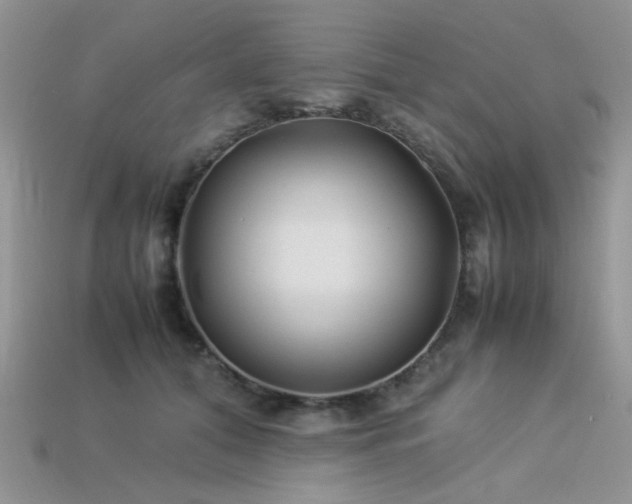 X0000113540608200909181159
