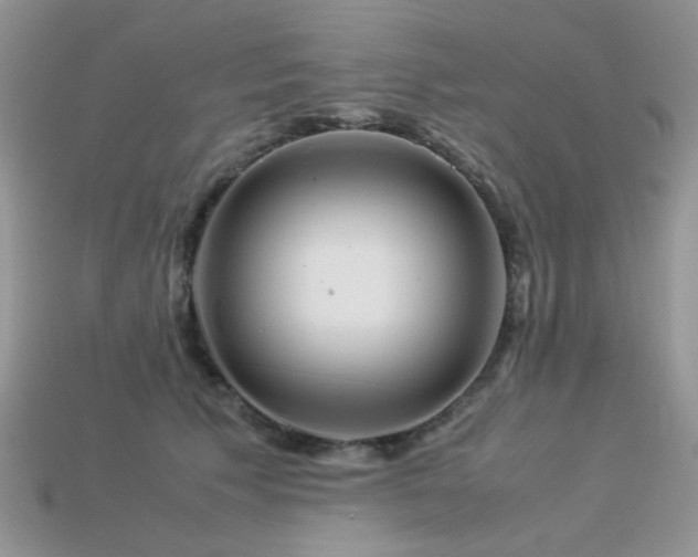 X0000113540609200909181159