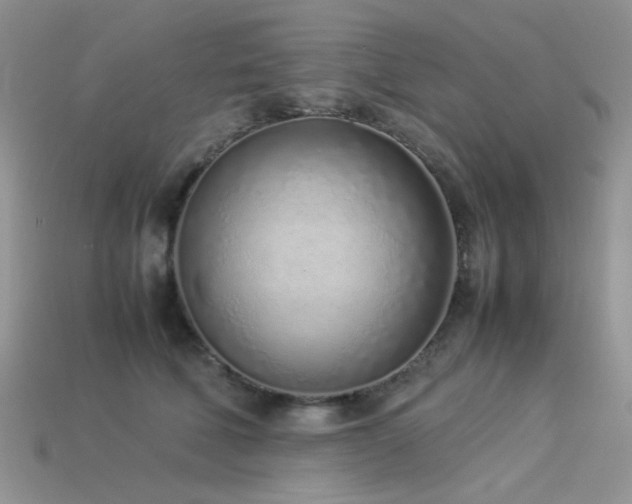 X0000113540610200909181159