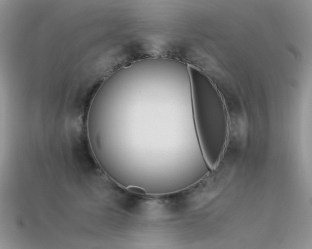 X0000113540611200909181159