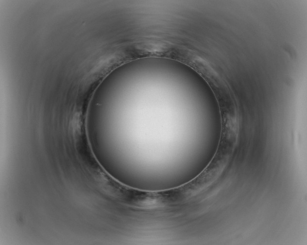 X0000113540612200909181159
