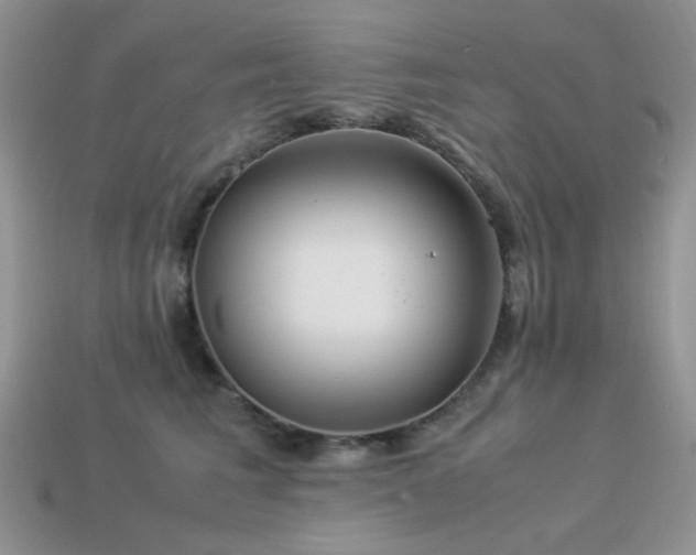 X0000113540613200909181159