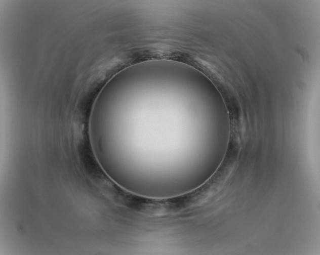 X0000113540615200909181159