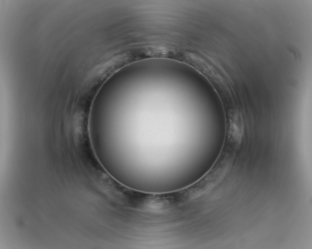 X0000113540616200909181159