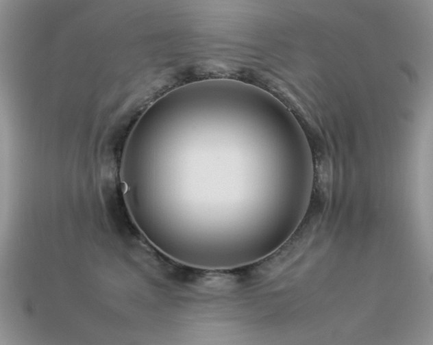 X0000113540617200909181159