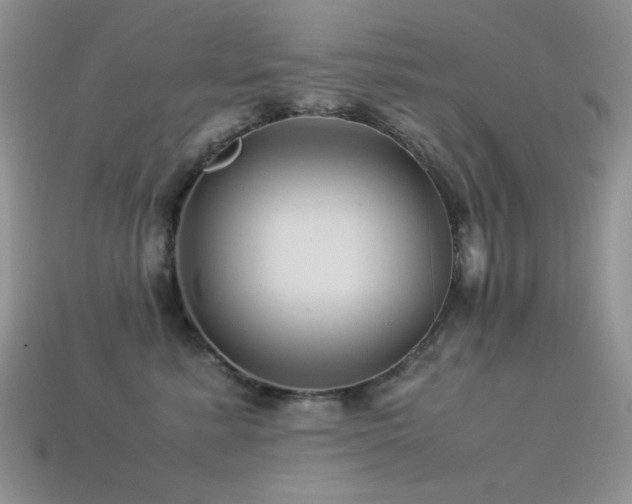 X0000113540619200909181159