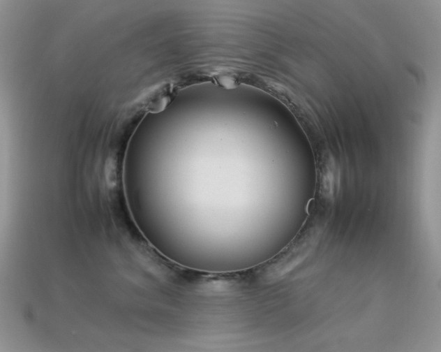 X0000113540620200909181159