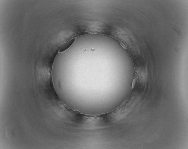 X0000113540621200909181159