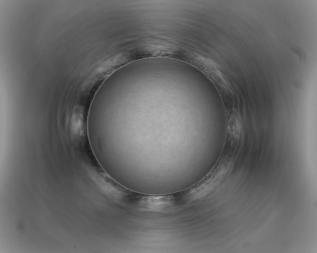 X0000113540622200909181159