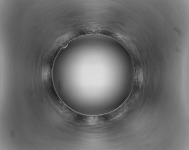 X0000113540623200909181159