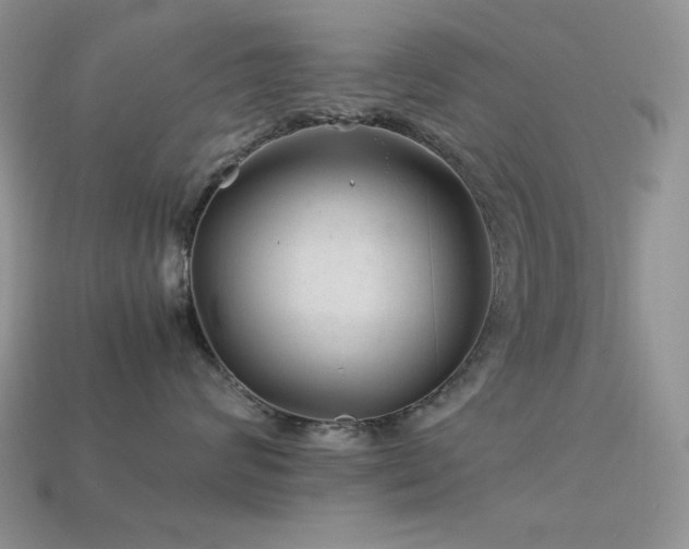X0000113540624200909181159