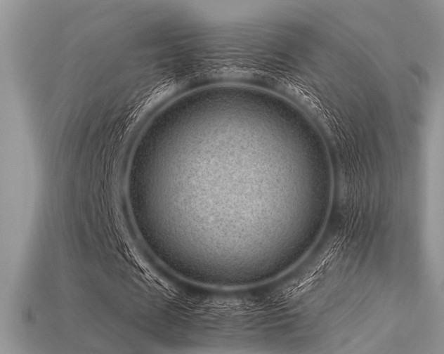 X0000113540625200909181158
