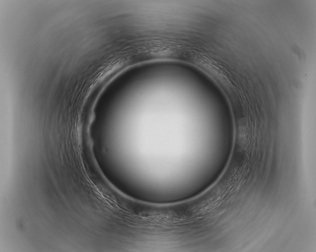 X0000113540626200909181158