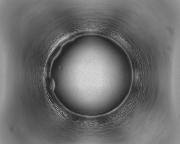 X0000113540628200909181158