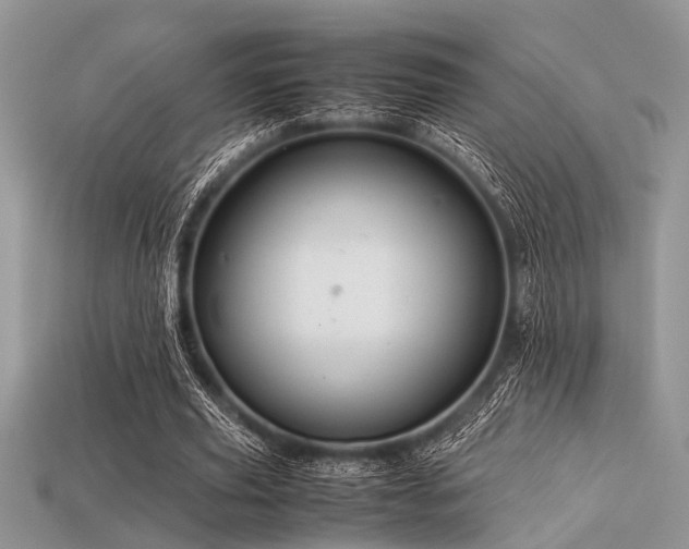 X0000113540629200909181158