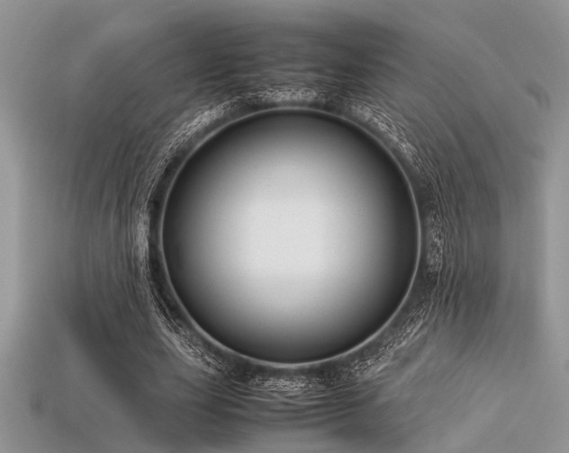 X0000113540631200909181158