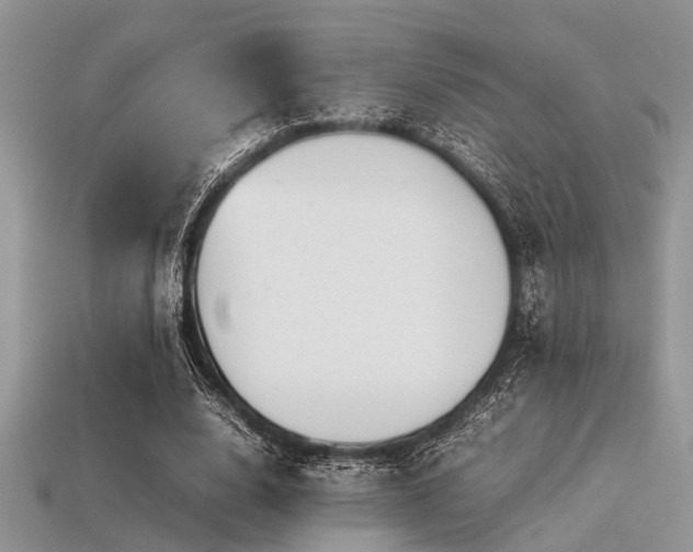 X0000113540632200909181158
