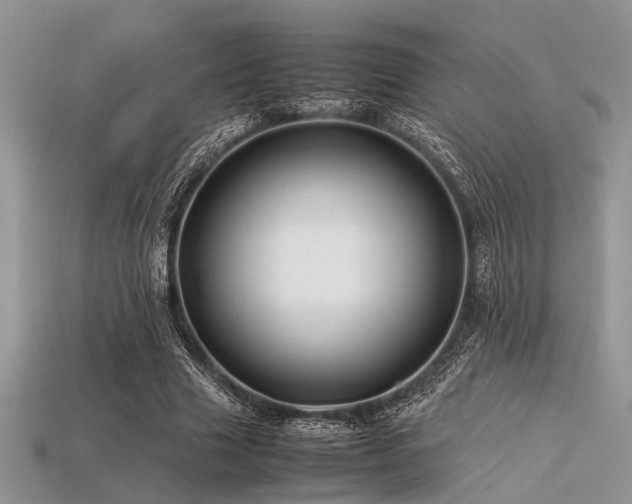 X0000113540633200909181158