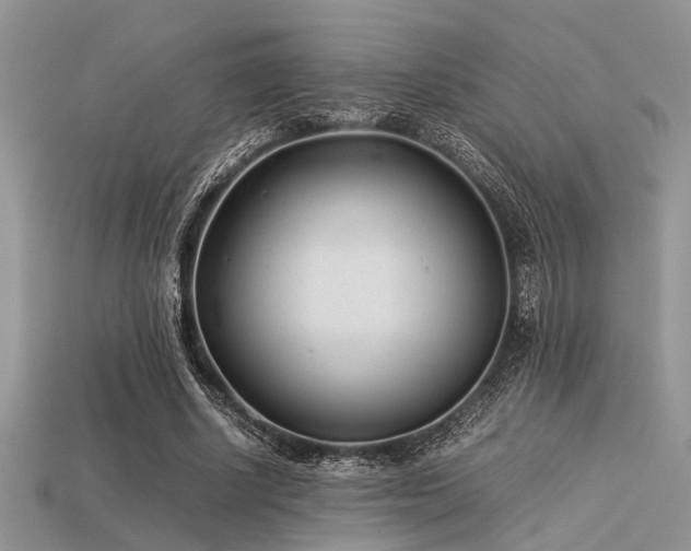 X0000113540634200909181158