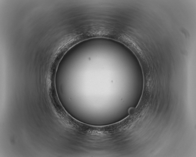 X0000113540635200909181158