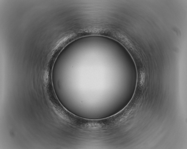 X0000113540636200909181158