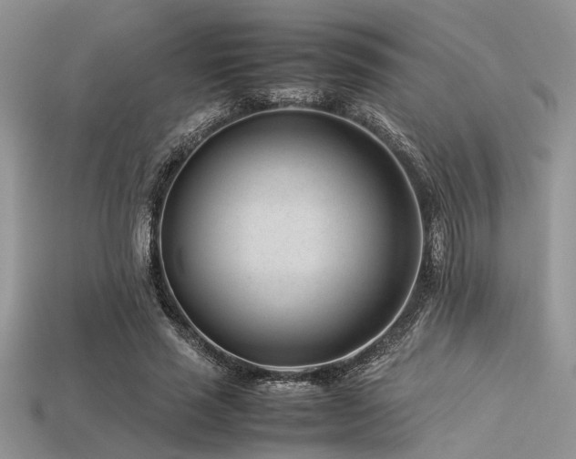 X0000113540637200909181158