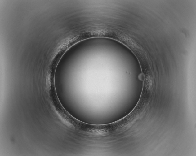 X0000113540638200909181158