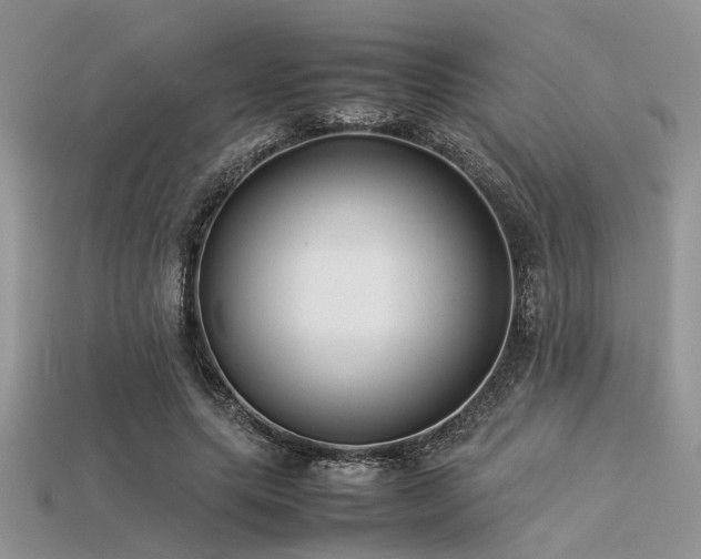 X0000113540639200909181158