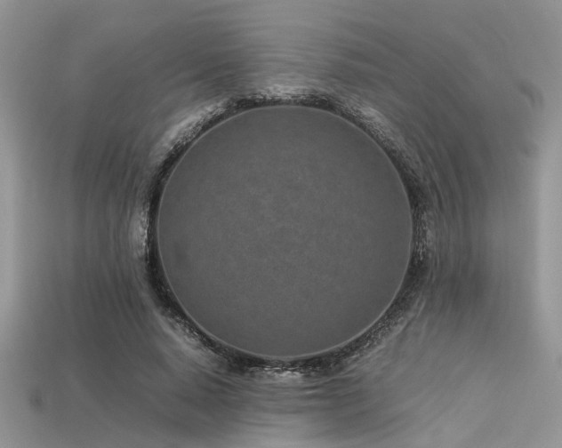 X0000113540640200909181158