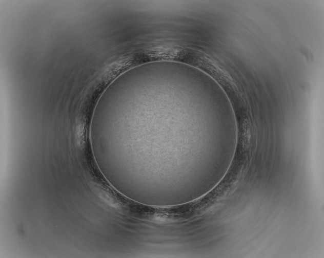X0000113540641200909181158