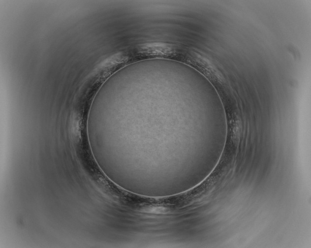 X0000113540643200909181158