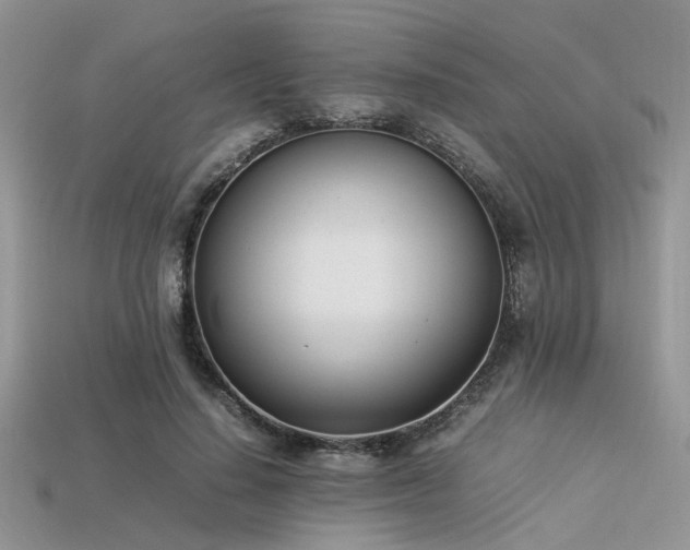 X0000113540644200909181158