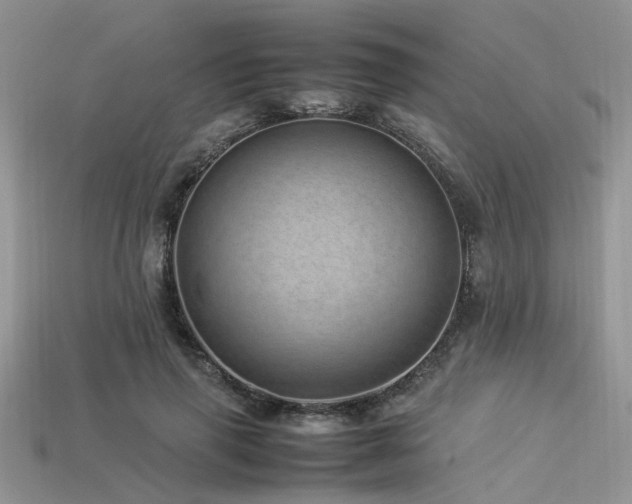 X0000113540645200909181158