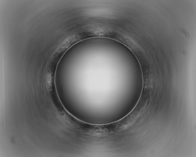 X0000113540646200909181158