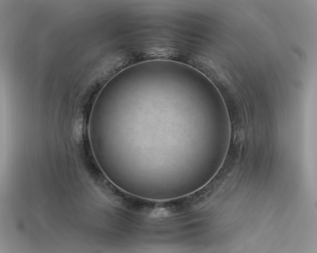 X0000113540647200909181158