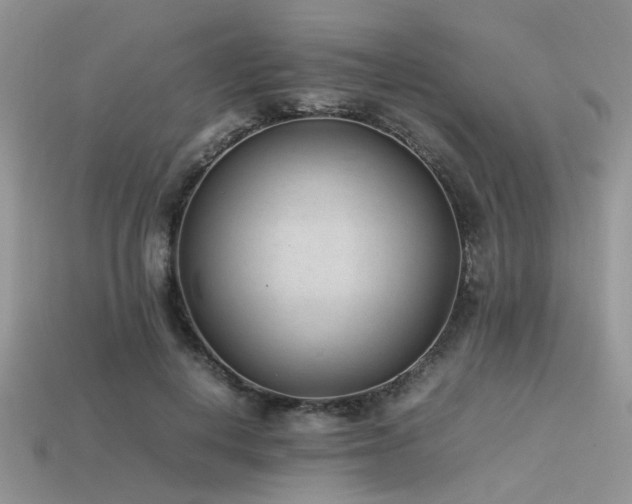 X0000113540648200909181158