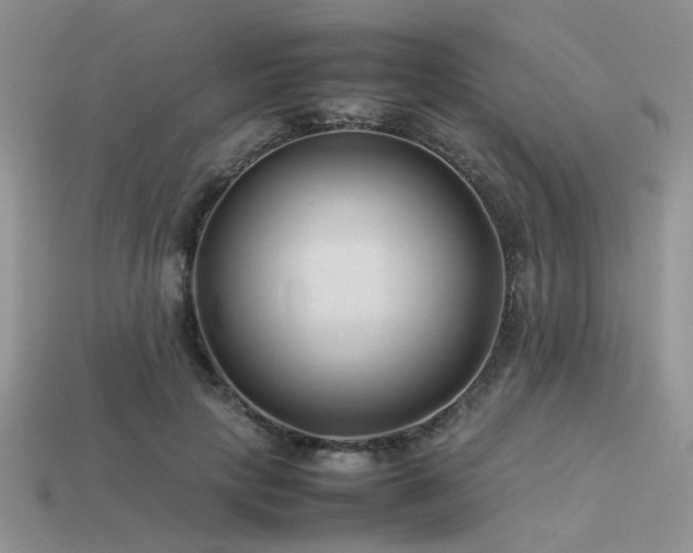 X0000113540649200909181158
