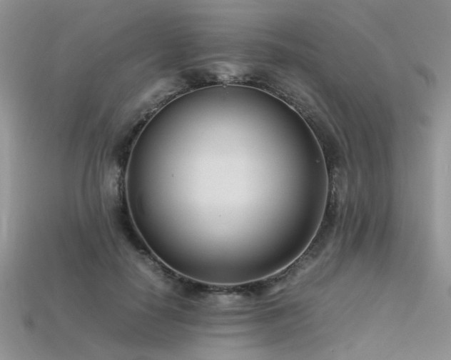 X0000113540650200909181158