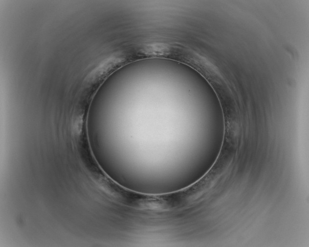 X0000113540652200909181158