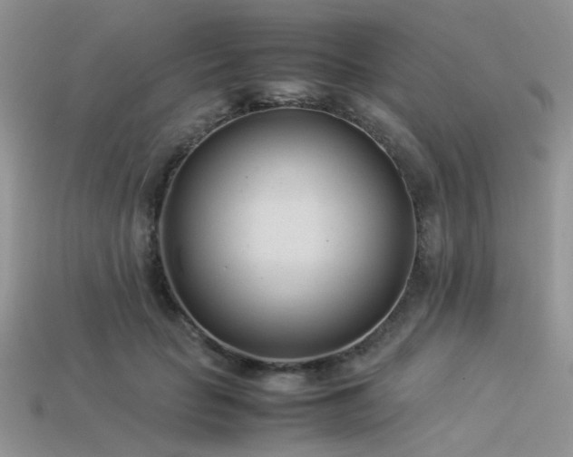 X0000113540653200909181158