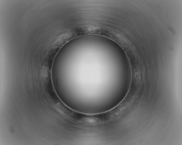 X0000113540654200909181158