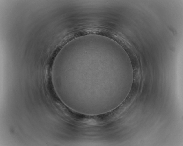 X0000113540655200909181158