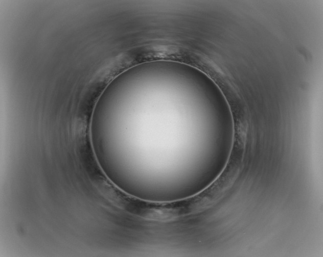 X0000113540657200909181158