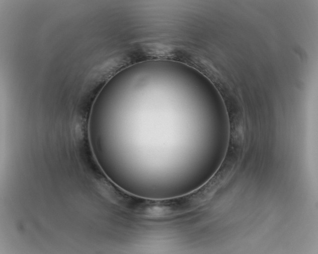 X0000113540658200909181158