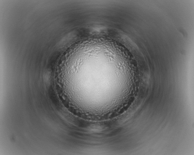 X0000113540659200909181158