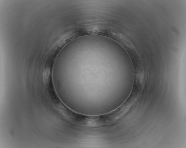 X0000113540660200909181158