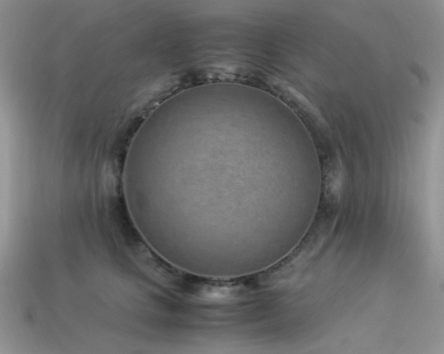 X0000113540661200909181158