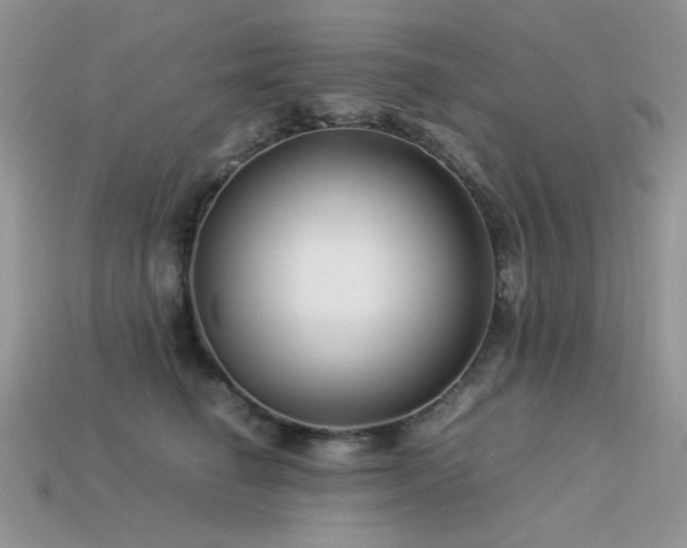 X0000113540662200909181158